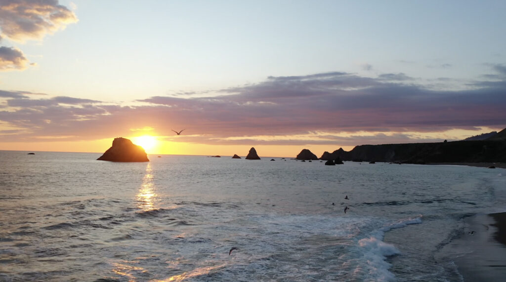 Jenner Beach, CA – Shelby Knick